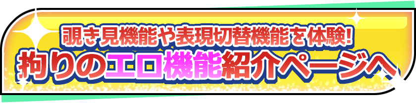 システム紹介