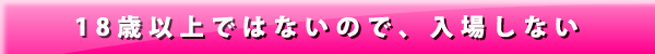 18歳以上ではないので、入場しない
