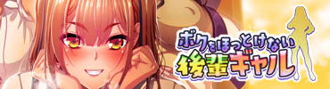 パッケージ画像